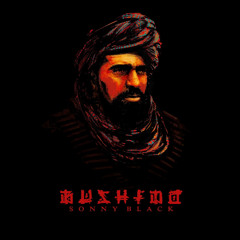 Bushido - Blei-Patronen (HQ)