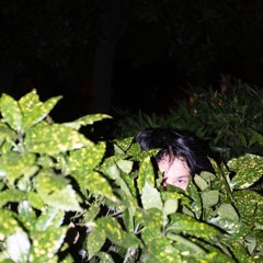 вайхо ‘’жизнь без боли’’