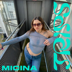 Trip 13 - micina