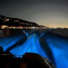 khi yêu nào đâu ai muốn jerk drill (prod. by d7mpty)