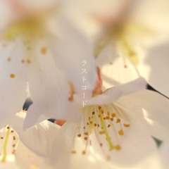 ラストコード