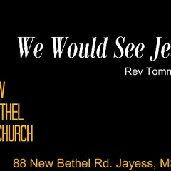 Rev Tommy Lee - We Would See Jesus