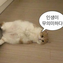 별생각없이만든믹셋😵‍💫