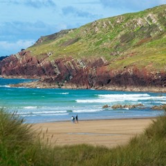 White Shores