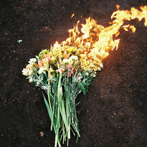 COME BACK (Prod. Dexter Yu)