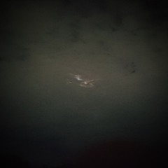 LO UNICO Q QUIERO (PROD 32VONM)