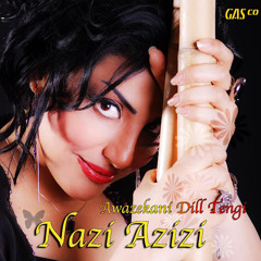 Nazi Azizi Dilan