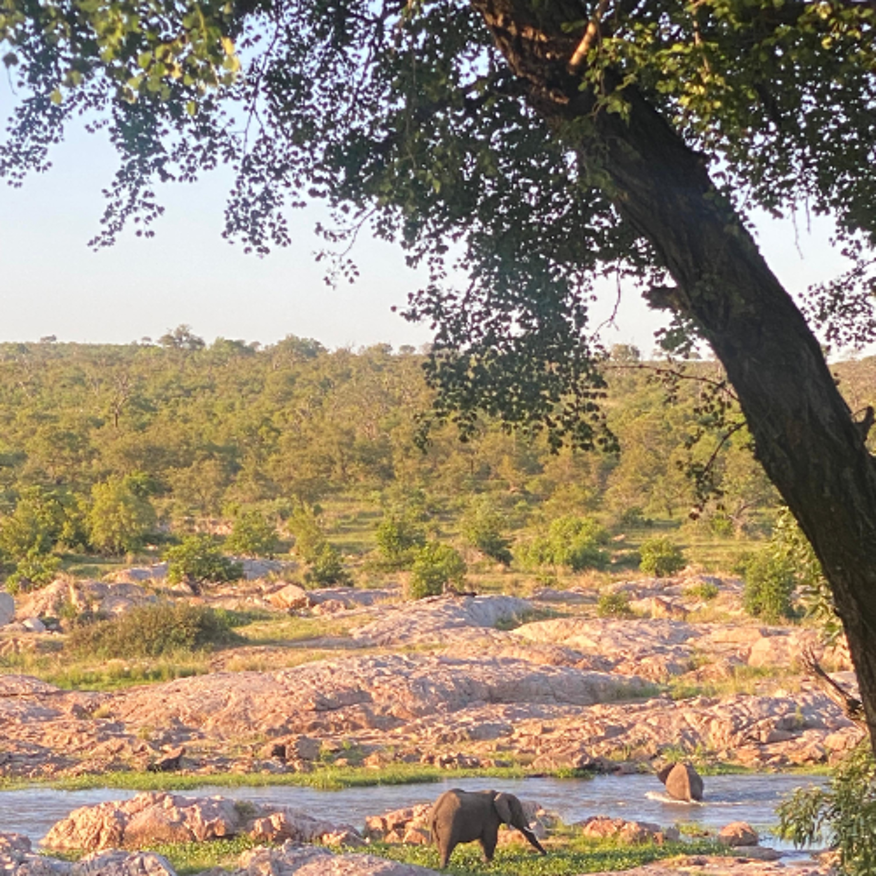 SANParks December Promotion with Gabrielle Venter