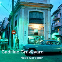 Cadillac Graveyard