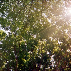 Light Shines In Me