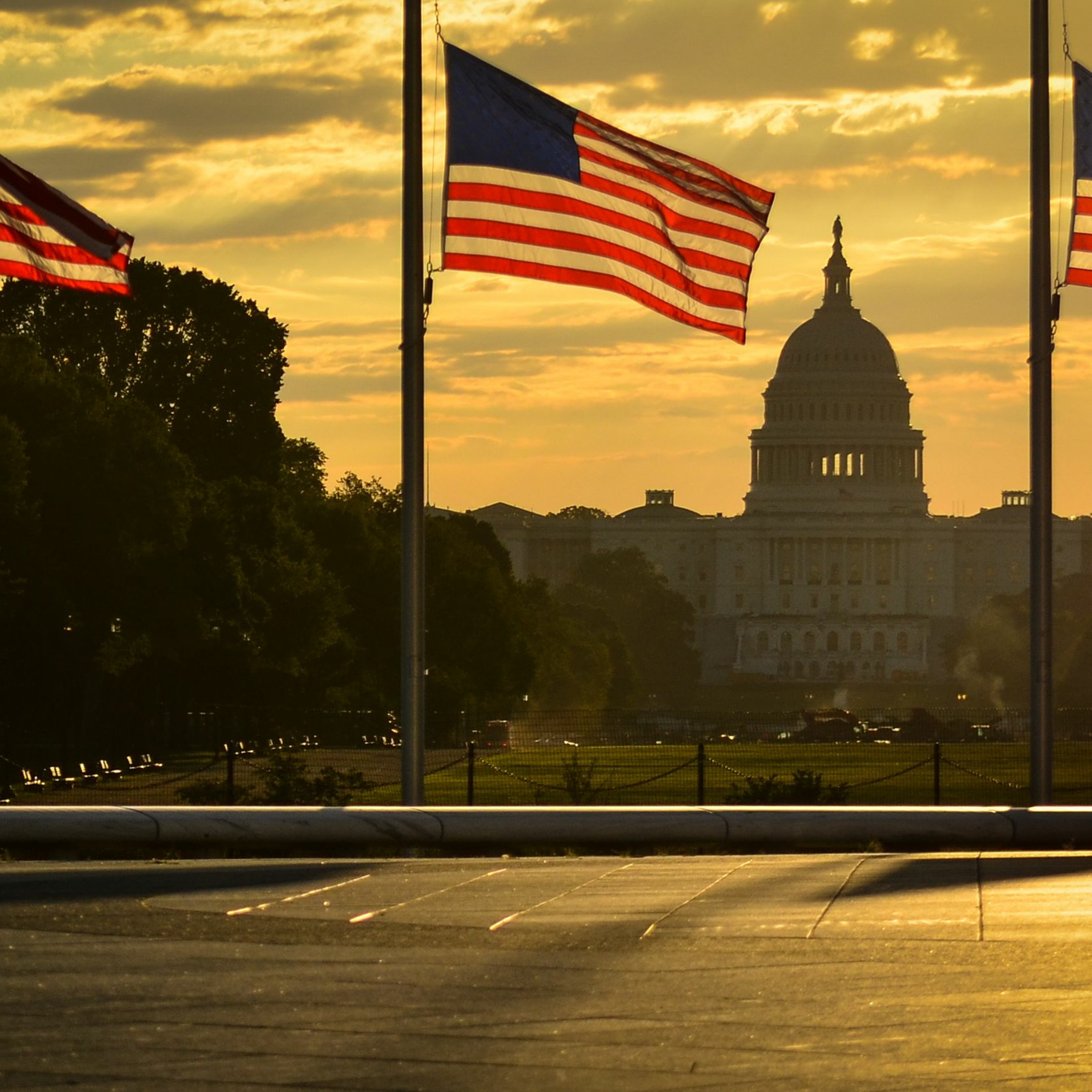 The Science of Politics