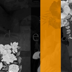 Flowers - dwella vocal series