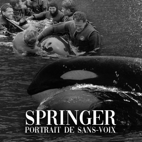 PSV #9 : Springer, l'orpheline de Puget Sound (Trilogie des orques aux destins croisés 1/3).