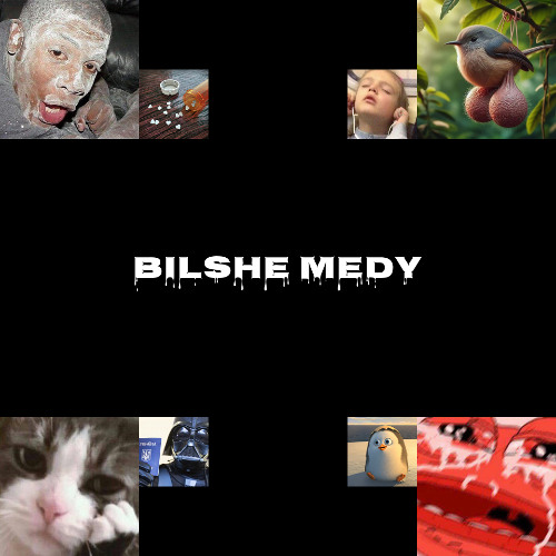 BILSHE_MEDУ (Speed Up)