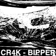 BIPPER