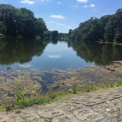 Breathing Meditation