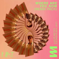 Lost Frequencies & Calum Scott - Where Are You Now (N.A.T Remix) FULL VERSION DOWNLOAD