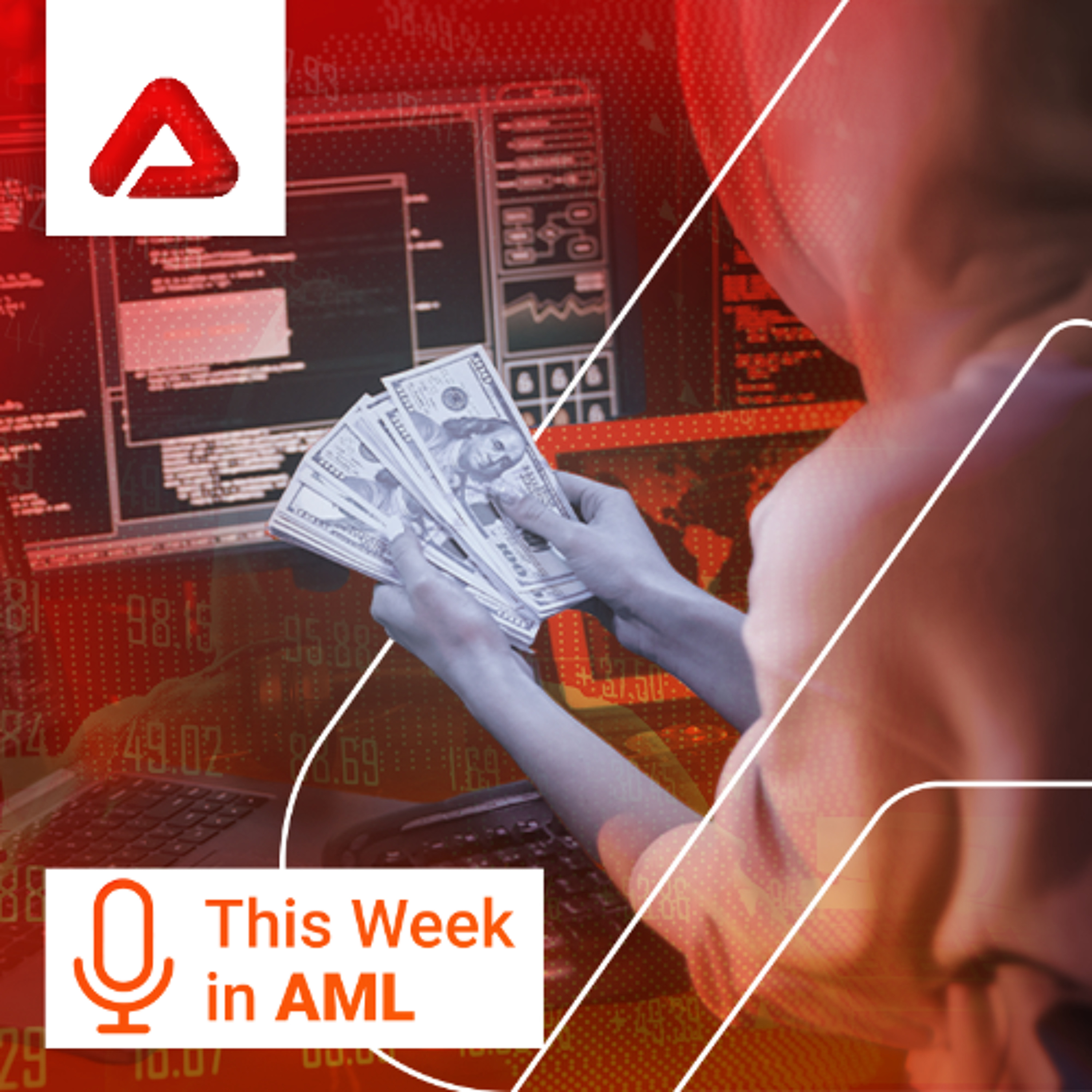AML in Focus: Cooperation, Capacity Gaps, and Emerging Financial Crime Risks episode artwork