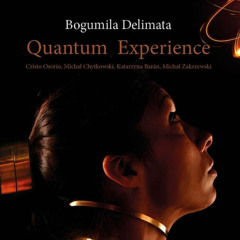 chytkowsky - the brain (Quantum Experience dir Bogumila Delimata 2024)
