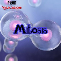 Mitosis