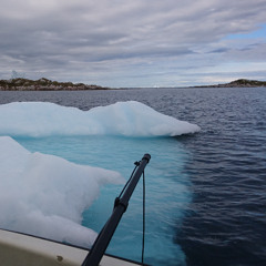 Sous l'eau de la baie de Disko