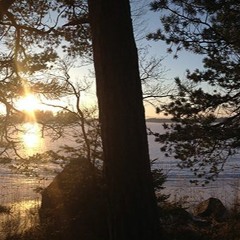 Vara Toamnei _ DemoExcerpt