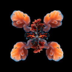 Mario Eighta - Star Command (Original Mix) [Impressum]