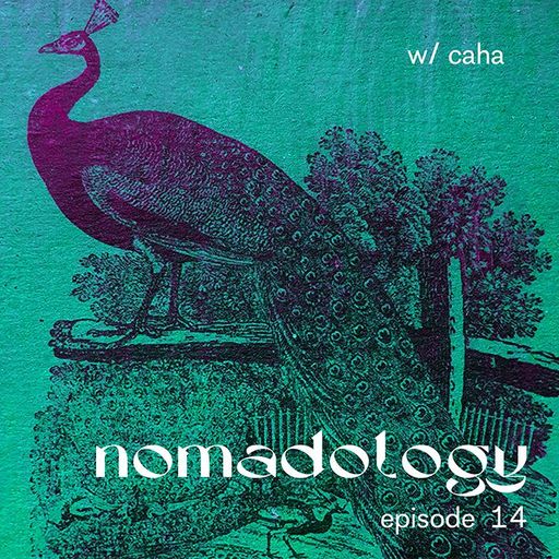nomadology Ep. 14