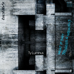 Ty Lumnus - Tempered, To Allow Some Time (from the "WITTAM?" album)
