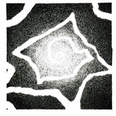 Lumière glacée