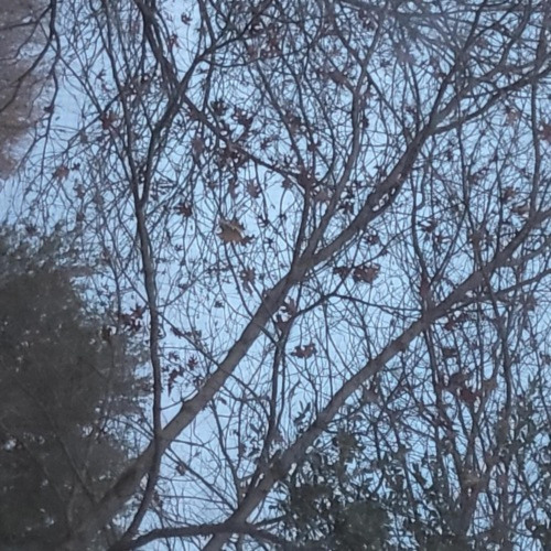 witchbox - the world's gonna end and I wanna spend time with you (prod. pekarot)