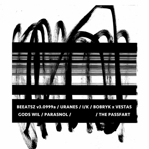 BEEATSZ v3.0999a at HAAARDCore #5 at Vondelbunker (Amsterdam 27112021)