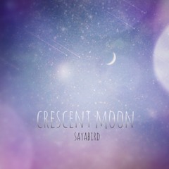 Crescent Moon ~ 銀の月
