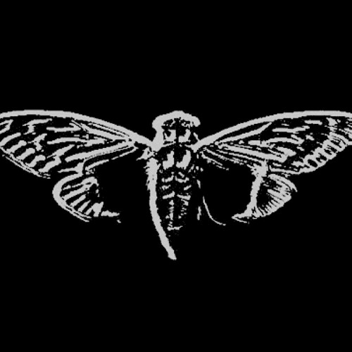 Cicada 3301: The Instar Emergence (761.mp3)