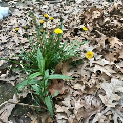 Don't Wait (prod. Doofdum)