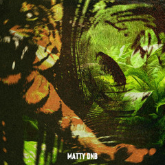 Matty - Jungle Lasers