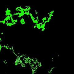 tedzi_khalta26_خلطة ٢٦