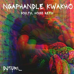DJTUMI_  Ngaphandle Kwakho