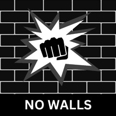 RiZLiX - No Walls