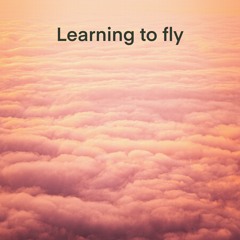 Learning to fly