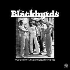 USオリジナル　BLACKBYRDS / BLACKBYRDS muro BLACKBYRDS - The Best of Blackbyrds - Amazon.com Music
