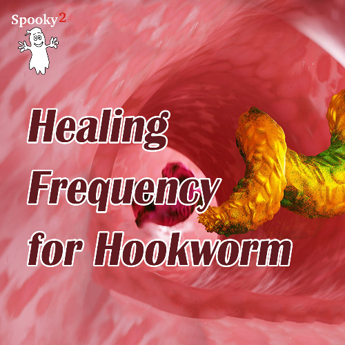 Healing Frequency for Hookworm   - Spooky2 Rife Frequencies