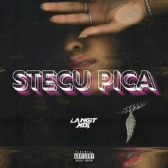 STECU PICA - LANGIT XDI X MRCL #JDM