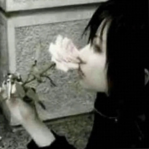 trynavibe 2 p. Yajar