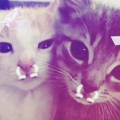 tstehowblckmybluudiz (slxepy._)