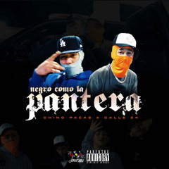 Negro Como La Pantera