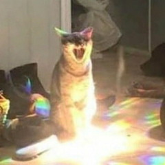 Short Dick Man (Tiktok remix)