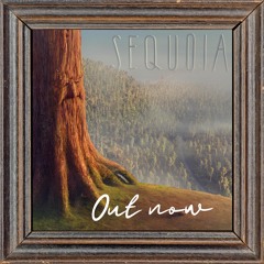 Helen Jane Long  Sequoia.   (c) 2020