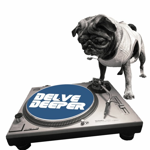 Delve Deeper Artist Sessions Vol 1 - Mixed by Chris Fry