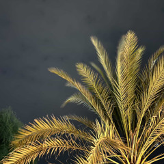 اشارة بالمساء | اماراتي نادرر